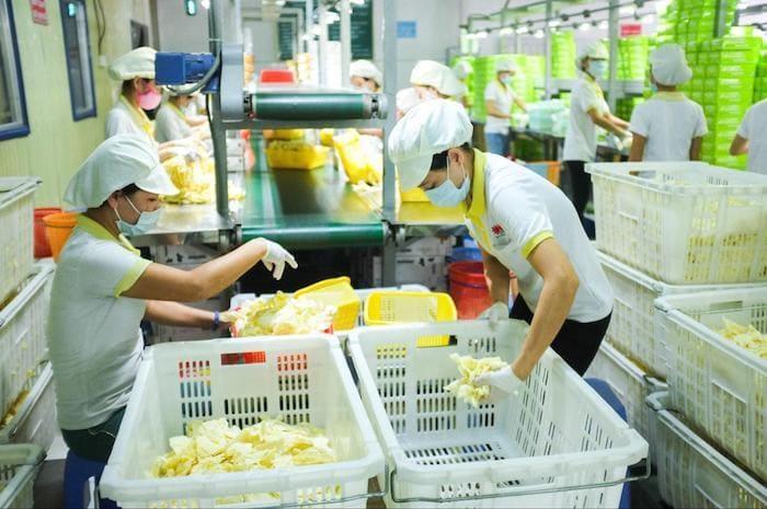 Công ty sản xuất găng tay cao su VRG Khải Hoàn hiện đang sở hữu 2 nhà máy lớn với quy trình sản xuất hiện đại, cung cấp đến 2.5 tỷ sản phẩm/năm (Nguồn ảnh: VRG Khải Hoàn)