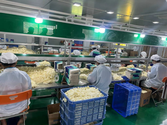 Nhà máy sản xuất găng tay y tế của Công ty TNHH Sản xuất Duy Hàng có hơn 22 năm hoạt động (Nguồn ảnh: Sưu tầm)