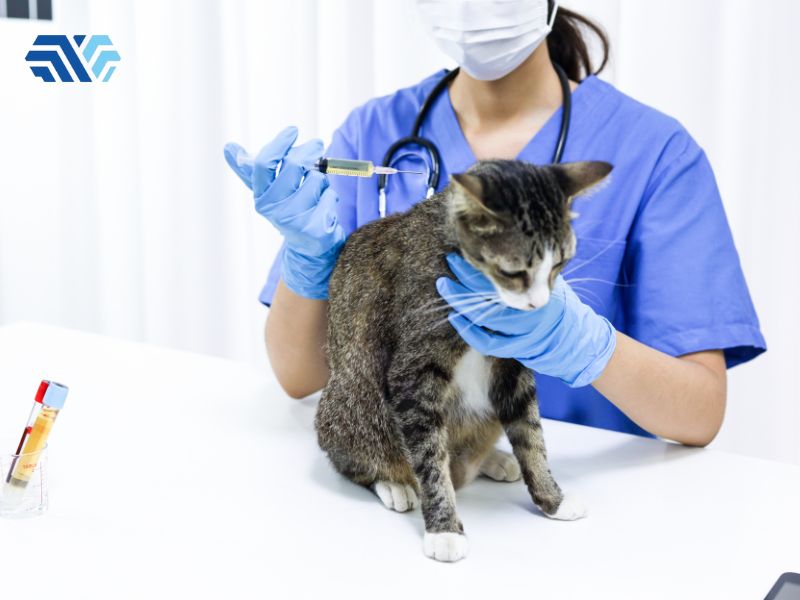 Cách lựa chọn găng tay y tế phù hợp cho phòng khám thú y - Hình 2