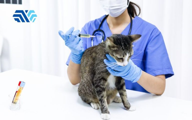Tư vấn chọn găng tay cho phòng khám thú y đạt chuẩn y tế - Hình 2 Tư vấn chọn găng tay cho phòng khám thú y đạt chuẩn y tế - Hình 2