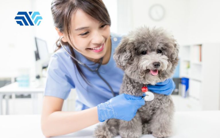 Tư vấn chọn găng tay cho phòng khám thú y đạt chuẩn y tế - Hình 1 Tư vấn chọn găng tay cho phòng khám thú y đạt chuẩn y tế - Hình 1