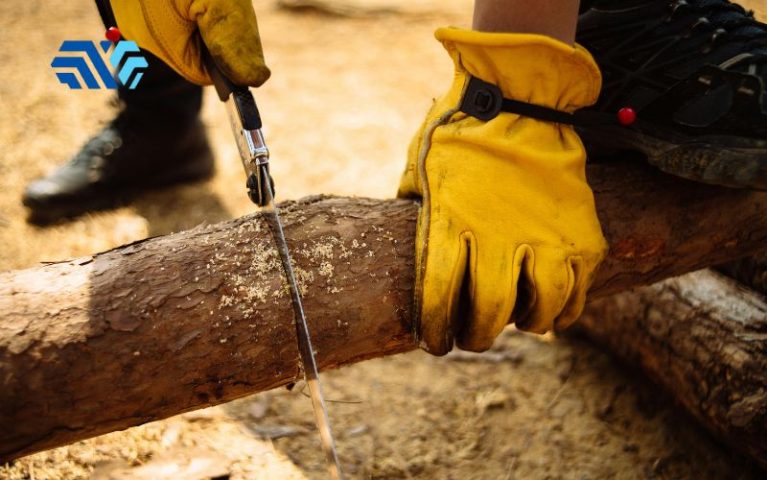 Găng tay chống cắt sợi thép là gì? Công dụng và cách lựa chọn đúng chuẩn - Hình 4 Găng tay chống cắt sợi thép là gì? Công dụng và cách lựa chọn đúng chuẩn - Hình 4